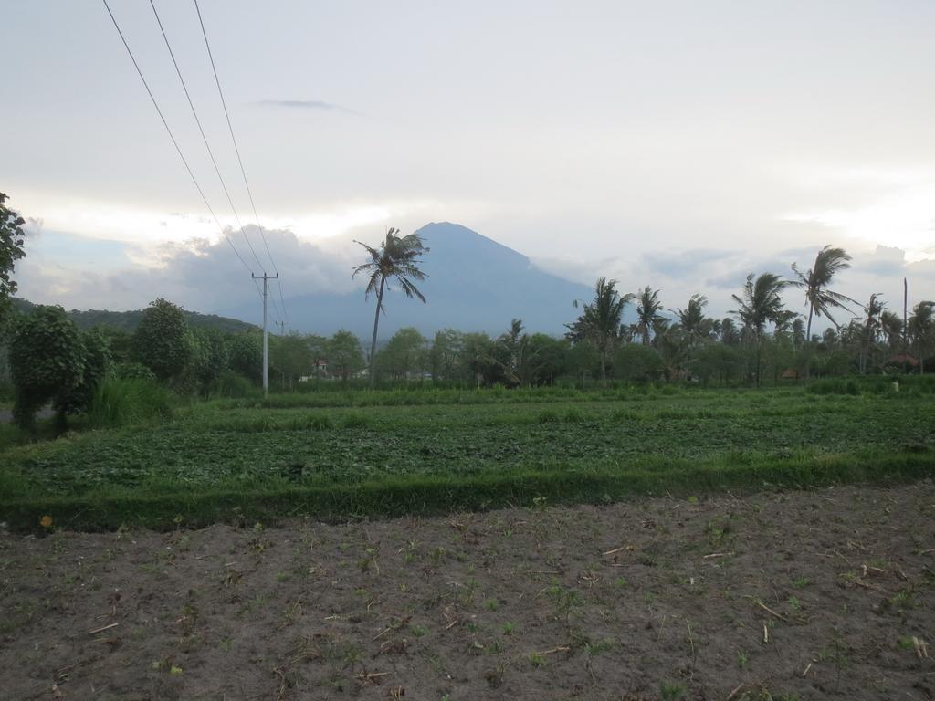 Mesari Homestay & Warung Amed Eksteriør bilde